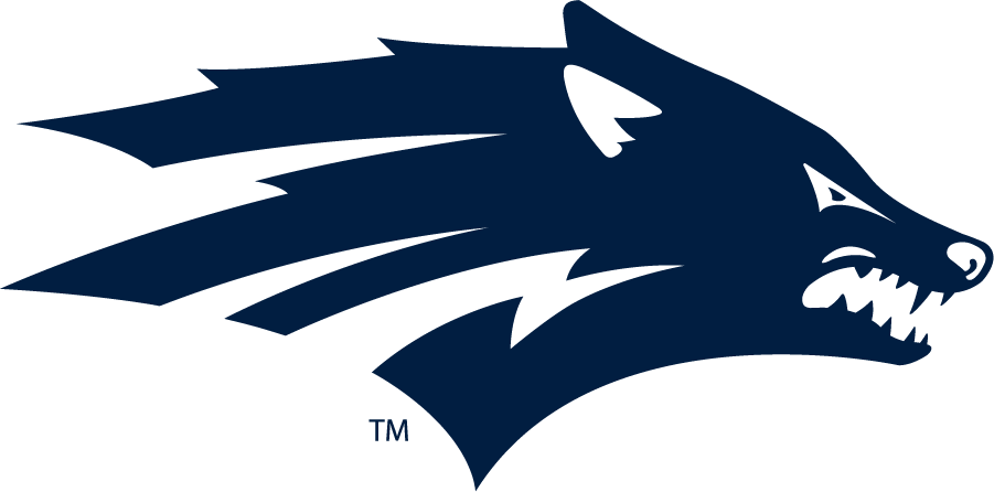 Nevada Wolf Pack 2006-Pres Alternate Logo diy DTF decal sticker